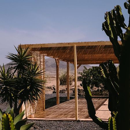 Surf & Yoga Retreats Fuerteventura Hotell Roque Exteriör bild