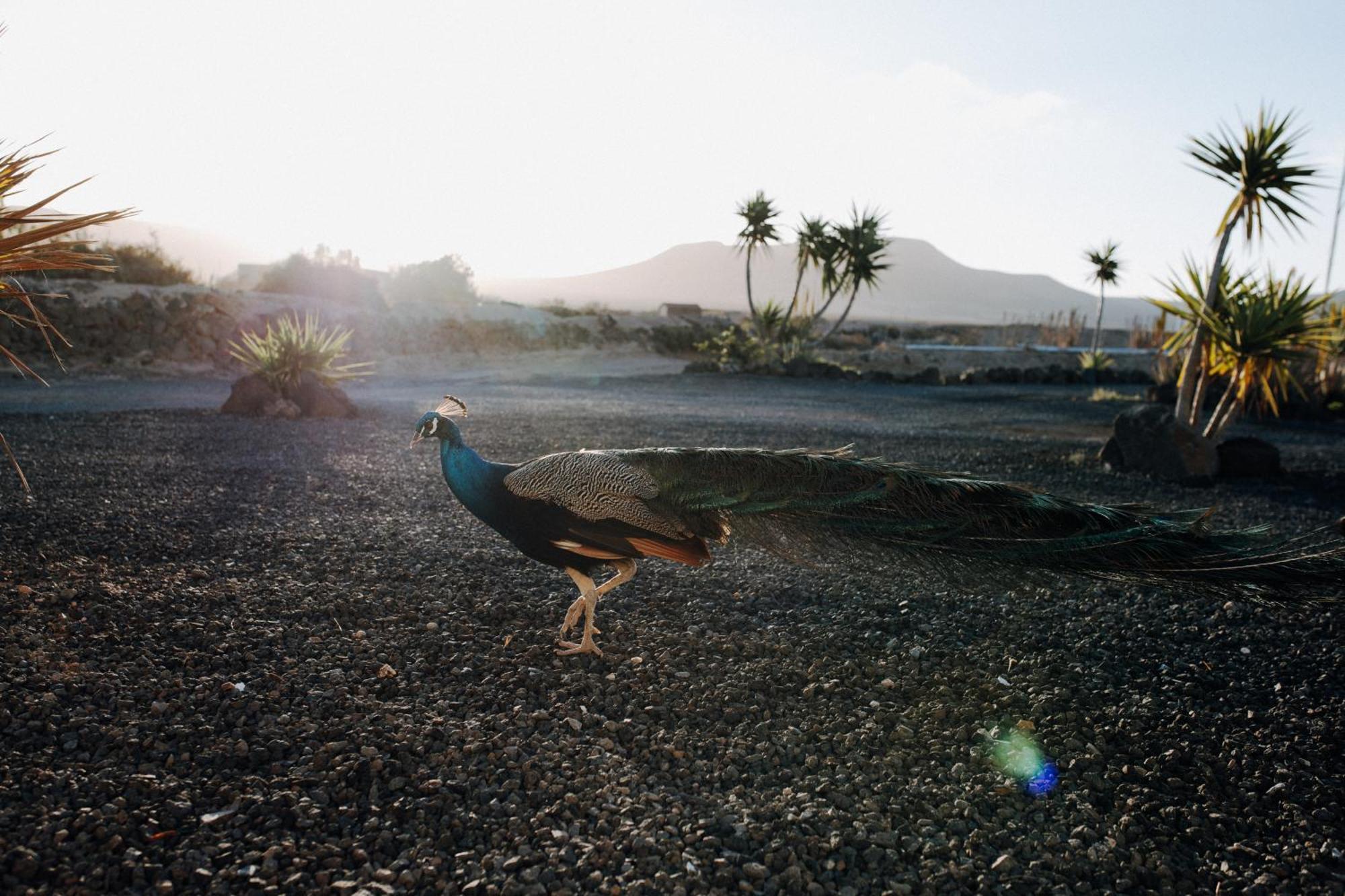 Surf & Yoga Retreats Fuerteventura Hotell Roque Exteriör bild