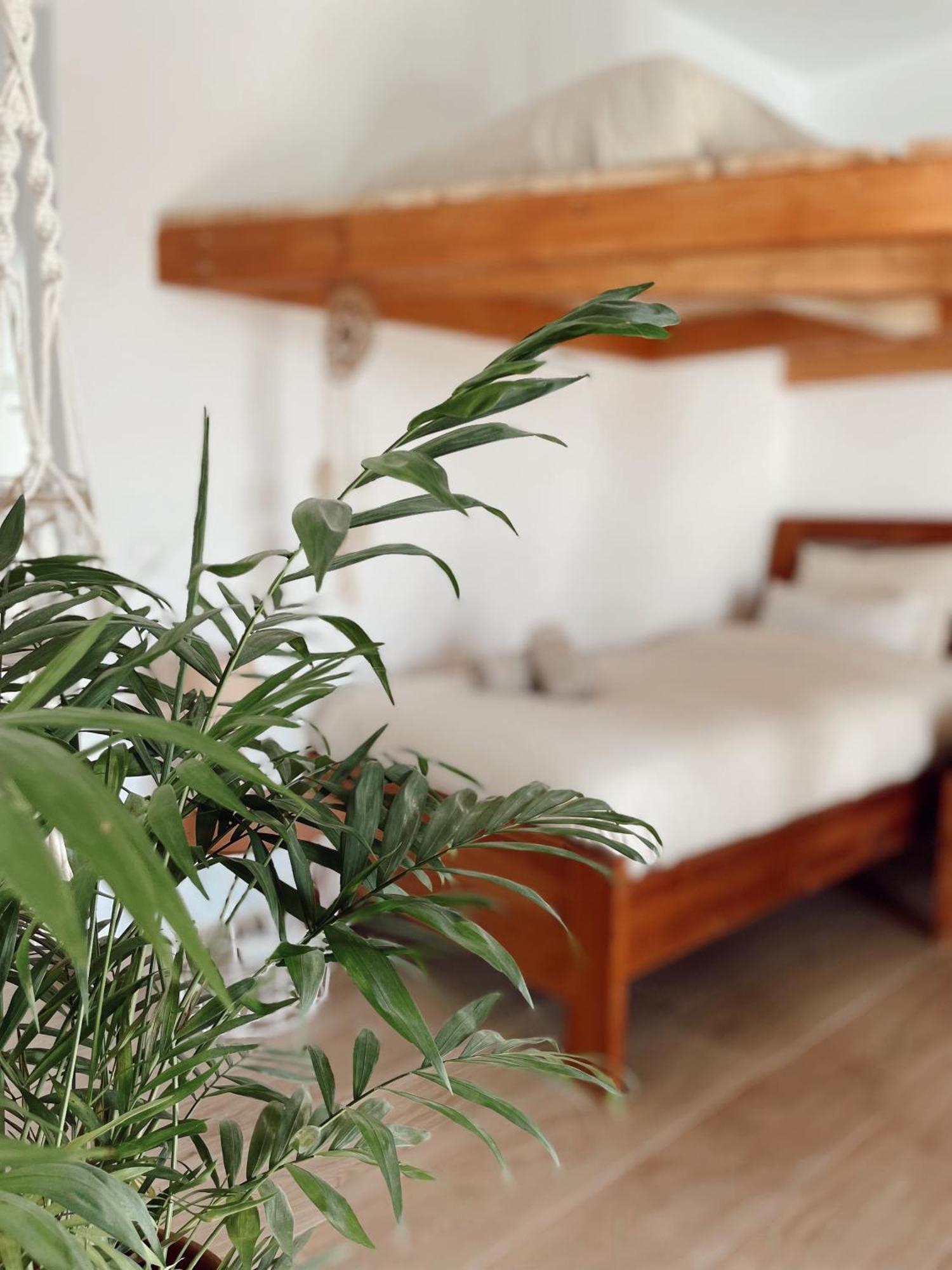 Surf & Yoga Retreats Fuerteventura Hotell Roque Exteriör bild